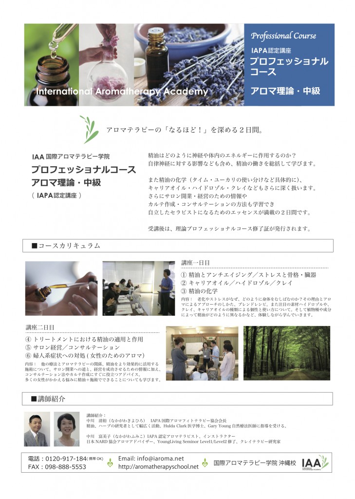 プロコース中級理論version2013